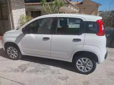 Usata Fiat Panda