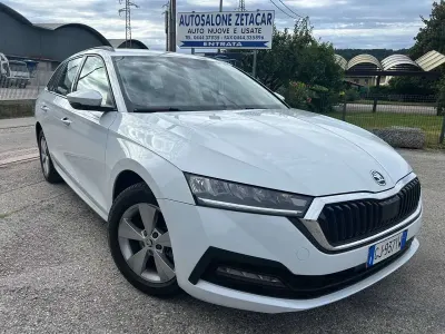 Usata Skoda Octavia