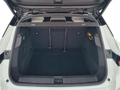 Usata Renault Scenic E-Tech