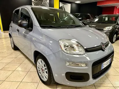 Usata Fiat Panda
