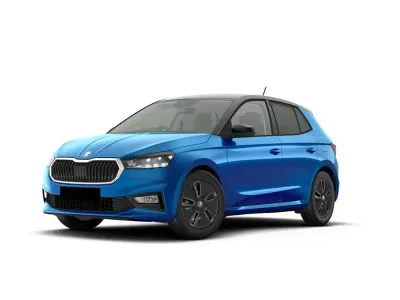 Usata Skoda Fabia