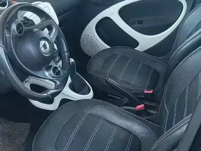 Usata Smart ForFour
