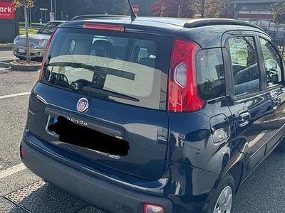 Usata Fiat Panda 2014 Blu Berlina