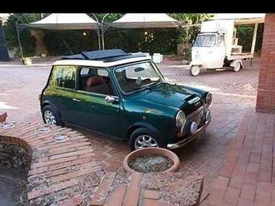 Usata Mini 1300 1995 Verde Utilitaria