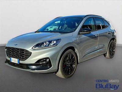 Usata Ford Kuga ST-Line X 225 CV (165 kW) 2023 Argento SUV