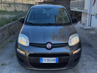 Usata Fiat Panda Easy 69 CV (50 kW) 2018 Utilitaria
