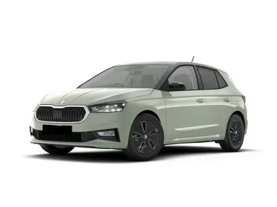 Usata Skoda Fabia