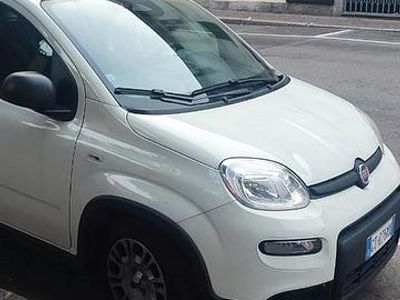 Usata Fiat Panda 70 CV (51 kW) 2024 Bianco Utilitaria