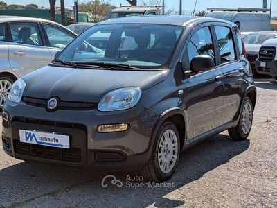 Usata Fiat Panda 69 CV (50 kW) 2022 Grigio Utilitaria