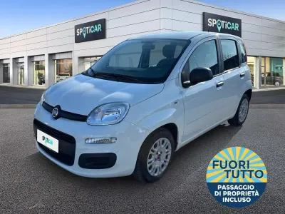 Usata Fiat Panda S 69 CV (50 kW) 2021 Bianco Utilitaria