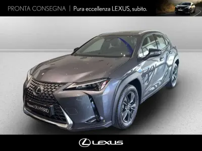 Usata Lexus UX 300h