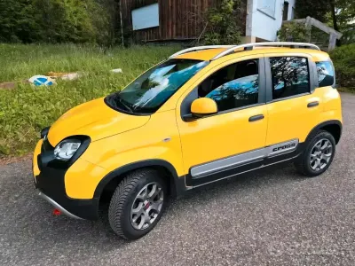 Usata Fiat Panda Cross Cross 85 CV (62 kW) 2019 Giallo Utilitaria