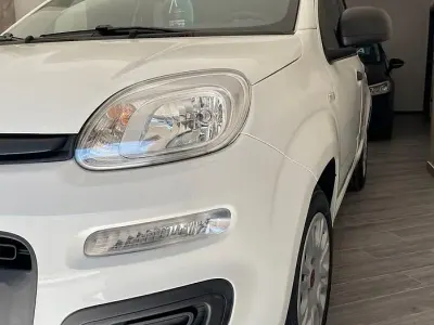 Usata Fiat Panda Easy 69 CV (50 kW) 2017 Bianco Utilitaria