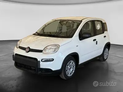Usata Fiat Panda