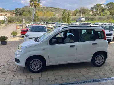 Usata Fiat Panda Easy 75 CV (55 kW) 2014 Bianco Utilitaria