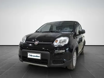 Begagnad Fiat Panda Icon 70 HK (51 kW) 2024 Svart Halvkombi