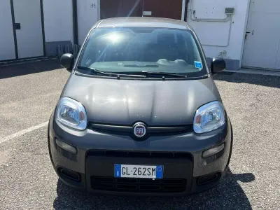 Usata Fiat Panda S 69 CV (50 kW) 2022 Grigio Utilitaria