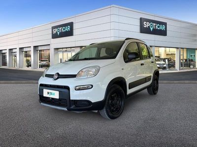 usata Fiat Panda 4x4 0.9 TwinAir Turbo 85cv S&S E6d-Temp