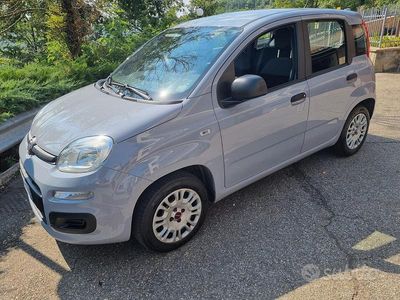 Usata Fiat Panda Easy 69 CV (50 kW) 2019 Grigio Utilitaria
