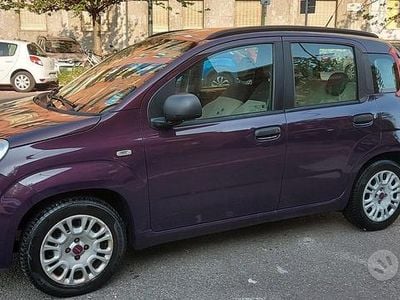 Usata Fiat Panda Lounge 69 CV (50 kW) 2012 Viola Utilitaria
