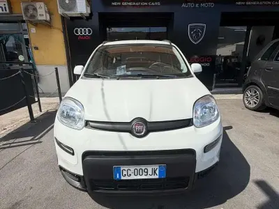 Usata Fiat Panda City Life 71 CV (52 kW) 2021 Bianco Utilitaria