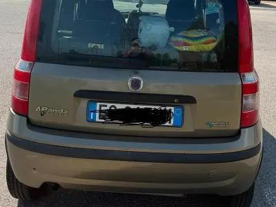 Usata Fiat Panda 77 CV (56 kW) 2008 Marrone Utilitaria
