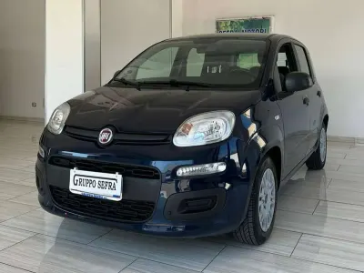 Usata Fiat Panda