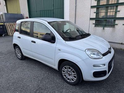 Usata Fiat Panda Easy 69 CV (50 kW) 2020 Bianco Utilitaria