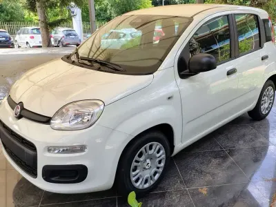 Nuova Fiat Panda Icon 69 CV (50 kW) 2025 Bianco Utilitaria