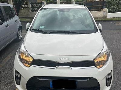 Usata Kia Picanto 65 CV (47 kW) 2024 Bianco Utilitaria