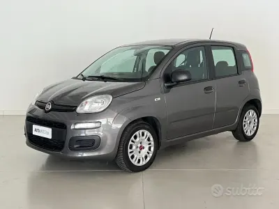 Usata Fiat Panda Easy 69 CV (50 kW) 2021 Grigio Utilitaria