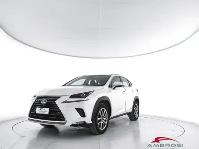 Usata Lexus NX300h Executive Line 155 CV (114 kW) 2018 Bianco SUV