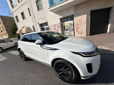 Usata Land Rover Range Rover evoque S 150 CV (110 kW) 2019 Bianco SUV