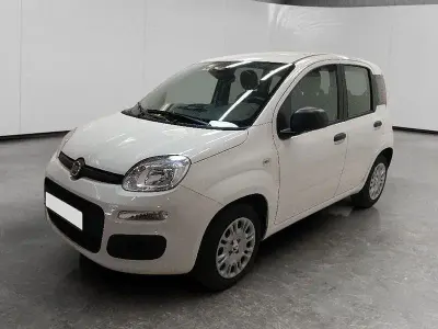Nuova Fiat Panda Icon 69 CV (50 kW) 2025 Bianco Utilitaria