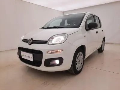 Usata Fiat Panda