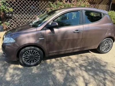 Usata Lancia Ypsilon 95 CV (69 kW) 2015 Marrone Utilitaria