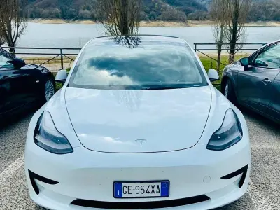 Usata Tesla Model 3 Standard Range Plus 88 kW (120 CV) 2021 Bianco Berlina