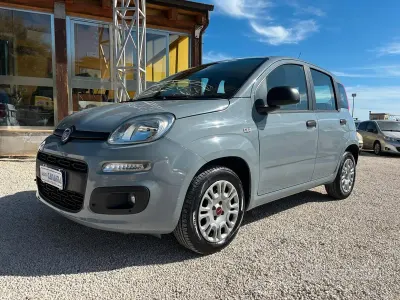 Gebraucht Fiat Panda 69 PS (50 kW) 2019 Grau Kleinwagen