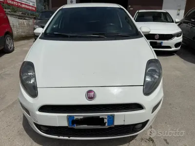 Usata Fiat Punto Lounge 85 CV (62 kW) 2013 Bianco Utilitaria