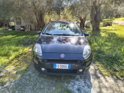 Usata Fiat Punto 95 CV (69 kW) 2016 Nero Utilitaria