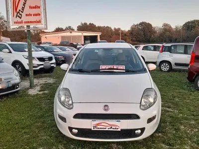 Usata Fiat Punto Easy 77 CV (56 kW) 2013 Bianco Utilitaria
