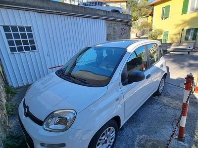 Usata Fiat Panda 2015 Bianco Utilitaria