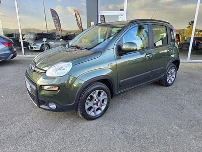 Usata Fiat Panda 4x4 Climbing 75 CV (55 kW) 2014 Verde Utilitaria
