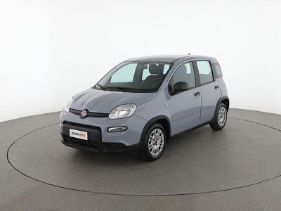 Usata Fiat Panda 69 CV (50 kW) 2023 Grigio Utilitaria