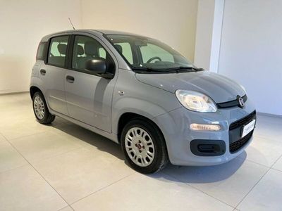 usata Fiat Panda III 1.0 firefly hybrid s&s 70cv