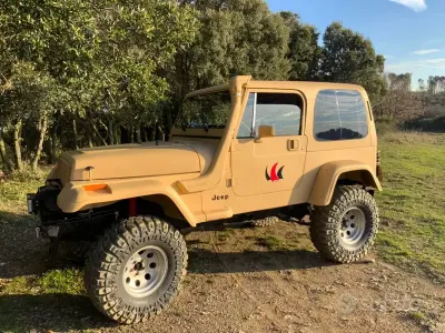 Usata Jeep Wrangler 184 CV (135 kW) 1994 SUV