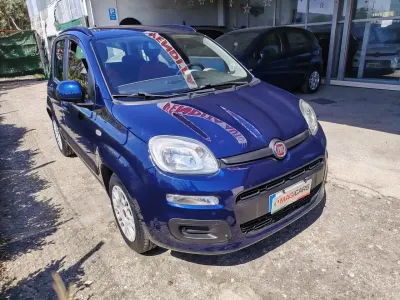 Usata Fiat Panda Easy 95 CV (69 kW) 2016 Blu Utilitaria