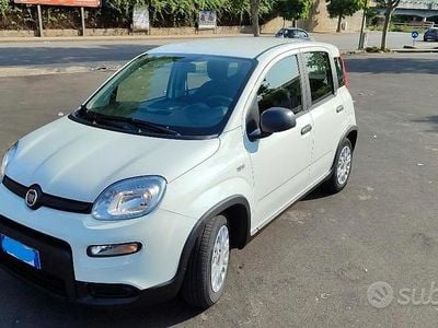 Usata Fiat Panda 69 CV (50 kW) 2024 Bianco Utilitaria