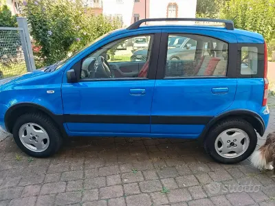 Usata Fiat Panda 4x4 Climbing 60 CV (44 kW) 2005 Bluazzurro Utilitaria