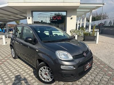 Usata Fiat Panda Easy 69 CV (50 kW) 2019 Grigio Utilitaria